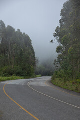 brouillard sur une route de montagne