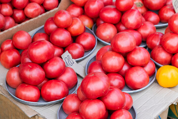 food retail market place village fair counter with tomatoed fresh vegetables
