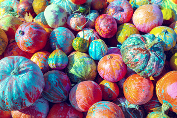 Full frame background of Pumpkins. Many Pumpkins on the grass. Autumn background. Halloween, Thanksgiving, Autumn, Harvest background