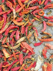 Dried red chilies are scattered on the side of the road.
