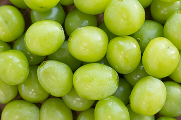 Shine Muscat Grape with on white background.