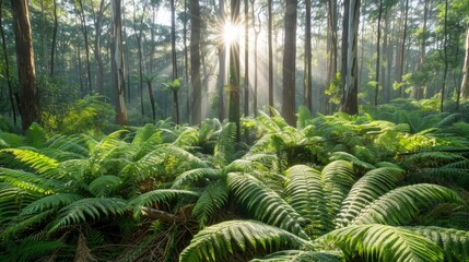 Lush ferns in a mystical forest clearing, sunlight streaming through trees
