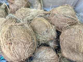 Closeup A pile of old coconuts which are usually used to extract coconut milk is processed into a delicious and creamy dish.
