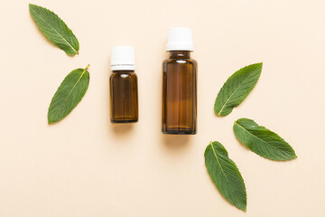 Natural Mint Essential Oil in a Glass Bottle. organic cosmetics with herbal extracts of mint on colored background