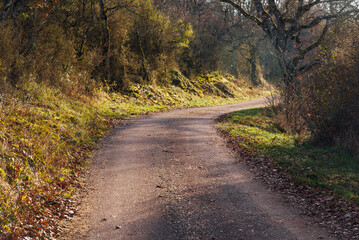 route de campagne en automne. Chemin rural dans une forêt automnale. Voyage en automne. Lumière automnale. Bourgogne rurale
