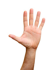 Isolated man’s hand showing five fingers. Human hand. Open hand.