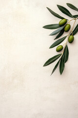 Minimalist olive branch with green olives on a textured background, capturing Mediterranean simplicity and natural elegance.