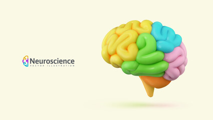 Multicolored parts of human. Colorful 3D cartoon stylized human brain on white background, symbolizing intellect, cognition, and neuroscience. Medical, educational, tech designs. Vector illustration