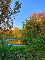 Obraz premium It is impossible to describe the beauty of Odessa parks created by nature in mid-autumn on a sunny day.