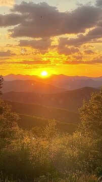 Breathtaking Mountain Sunset Over Scenic Forest Landscape. Background. Seamless looping motion design. Video animation. Stunning sunset view over rolling mountain peaks with a glowing sky and serene