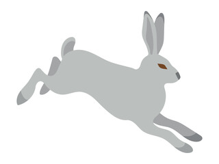 White hare jumping. Winter forest realistic animal. Isolated vector illustration for your design