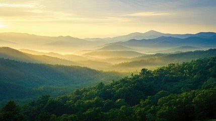 Fototapeta premium Scenic views of pristine nature