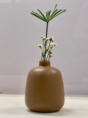 plant in a vase