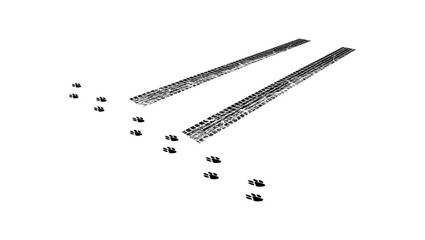 Fototapeta premium accident with animal on road, black isolated silhouette