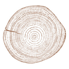 Tree wood texture. Wooden old trunk. Cut timber log. Abstract rings nature pattern. Brown circle stump. Wood cross section.