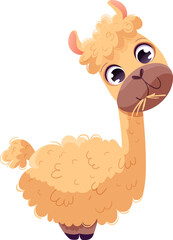 Cute alpaca vector illustration
