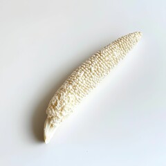 Fototapeta premium White corn cob isolated on white background.