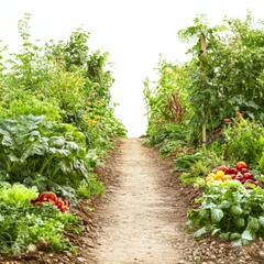 A dirt path through a lush green garden.