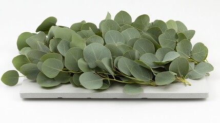 Minimalist blank card on a white background with a bouquet of eucalyptus leaves for a modern and natural aesthetic.