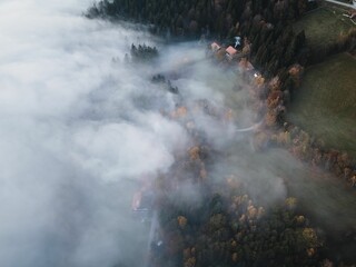 Misty Autumn Forest Aerial View