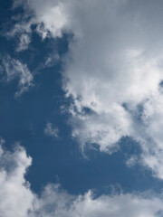 Obraz premium fluffy clouds in the sky