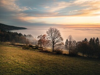 Misty Landscape with Autumn Trees and Sunset Sky