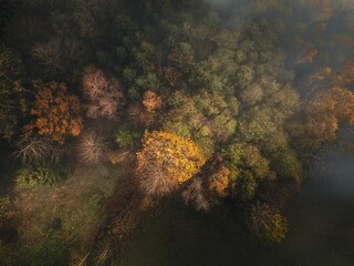 Aerial view of autumn forest with vibrant foliage and mist.