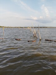 Albufera de Valencia