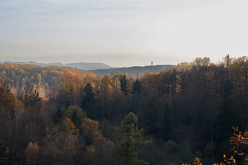 Autumn existence