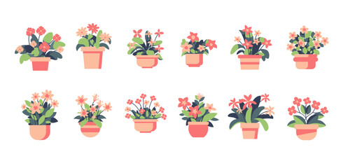 House plants in flowerpot vector set, collection of potted plant, cute flower plant vector set