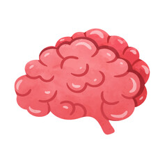Human brain organ illustration, hand drawn watercolor painting style, pink red brain clip art, brain internal organ side view, isolated on white background