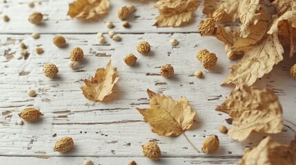 Fall composition with white horizontal space for copy