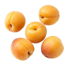 apricot,