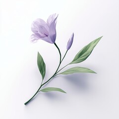 Obraz premium Stylized Lavender Flower on White Background