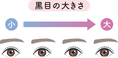黒目の大きさ　比較