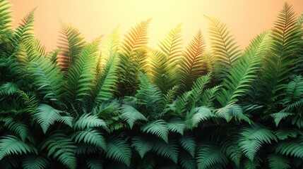 Lush ferns bathed in warm sunlight at dawn.