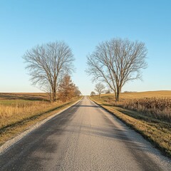 Fototapeta premium Empty paved road leads through field with trees.