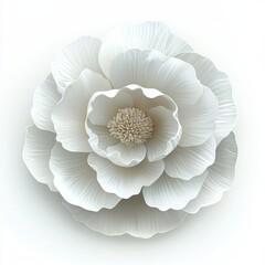 Elegant White Flower with Intricate Petals and Textures