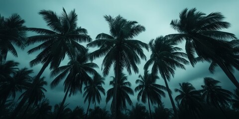 Dark palm trees swaying in the wind during a hurricane at twilight
