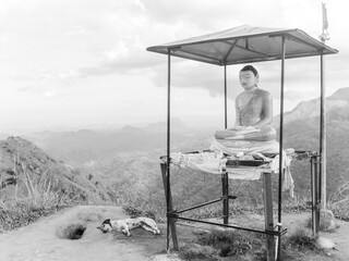 Buddha and dog
