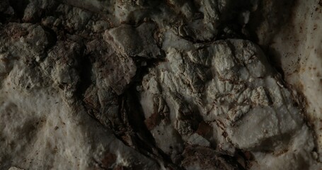 Close-up of Rough Textured Rock Surface