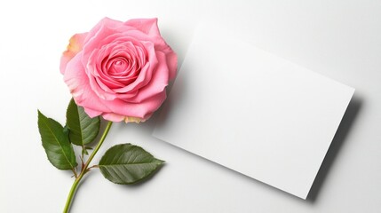 Valentine's Day greeting card mockup with pink rose design on white cover ,white background, --ar 16:9 --quality 2 --v 6.1 Job ID: 25661697-7688-44cc-ae12-5d5899031db4