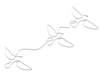 illustration of a birds