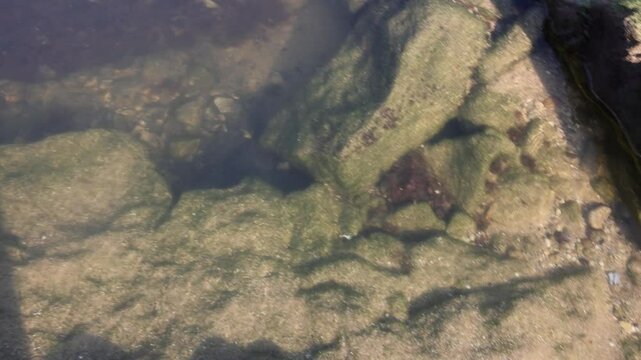 Water pebble nature wave
