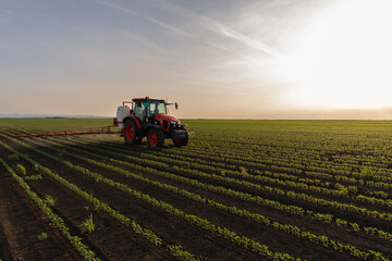 Tractor spraying soybean crops field