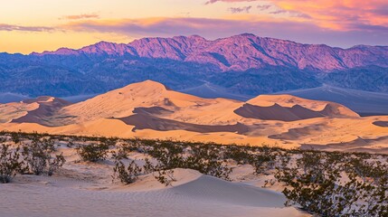 Explore the breathtaking beauty of endless golden sand dunes under a colorful sky