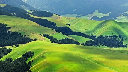 Green grass and forest with mountain natural landscape in Kalajun grassland, Xinjiang. Kalajun Grassland is one of the most famous grasslands in China.