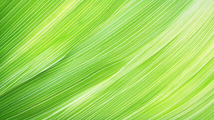 Obraz premium Bright green leaf texture, close-up of natural striped pattern, vibrant foliage detail.