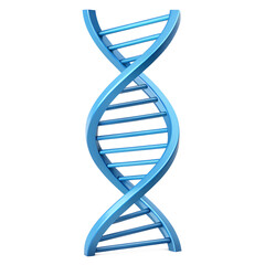 Modern minimalist design,3D Blue DNA helix icon in a stylized form transparent background,dna chain isolated ,