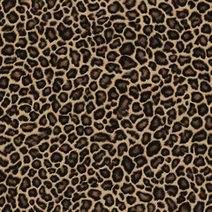 leopard print, jaguar, safari style, wild cat spots, fashionable modern design